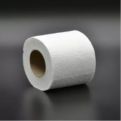 Туалетний папір Papero TP030 / 2-шаровий / білий / 17 м / 48 шт Туалетний папір Papero TP030 / 2-шаровий / білий / 17 м / 48 шт