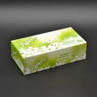 Серветки в коробці Papero NF011 / 2-шарові / 19*20 см / зелена упаковка / 150 шт Серветки в коробці Papero NF011 / 2-шарові / 19*20 см / зелена упаковка / 150 шт
